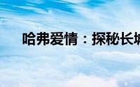 哈弗爱情：探秘长城汽车下的浪漫情缘