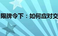 限牌令下：如何应对交通限制政策挑战与机遇