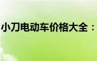 小刀电动车价格大全：选购指南与性价比分析